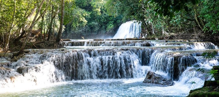 Embratur leva jornalistas e influenciadores digitais norte-americanos ao Pantanal