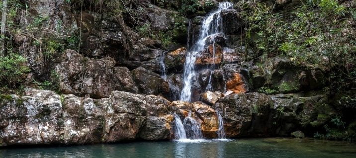 Dia Mundial do Meio Ambiente: ecoturismo ganha cada vez mais relevância no turismo