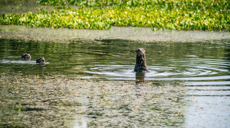 Indicadores de turismo de sustentabilidade da Embratur seguirão padrões internacionais