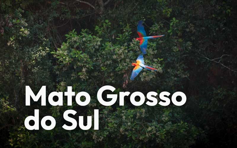 Mato Grosso do Sul