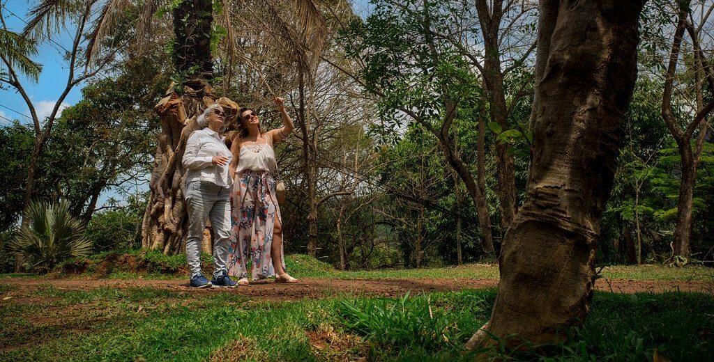 Inhotim Brumadinho MG Minas Gerais